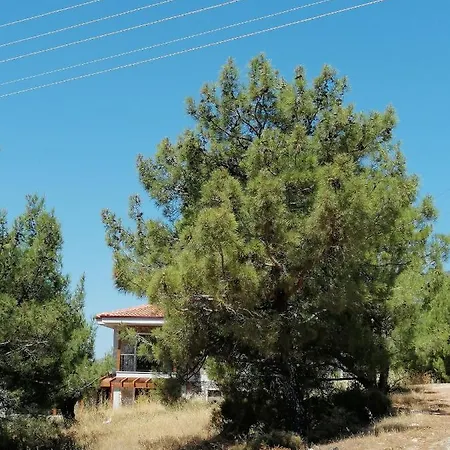 Villa Remy-layanna